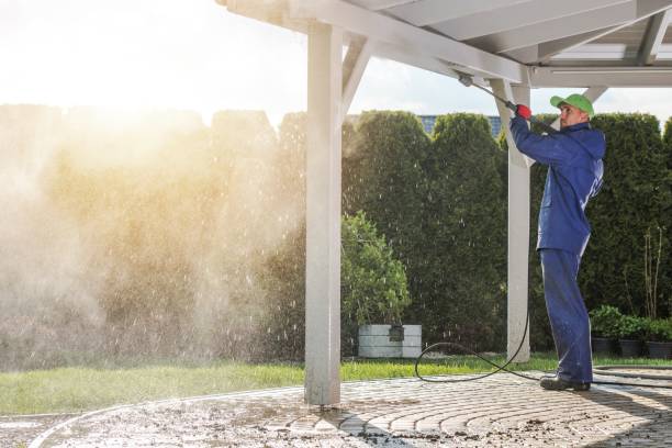 Best Dumpster Area Cleaning  in Black Jack, MO