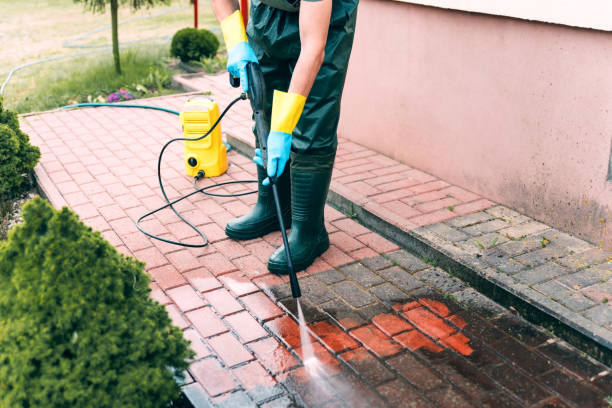 Best Fence Cleaning  in Black Jack, MO