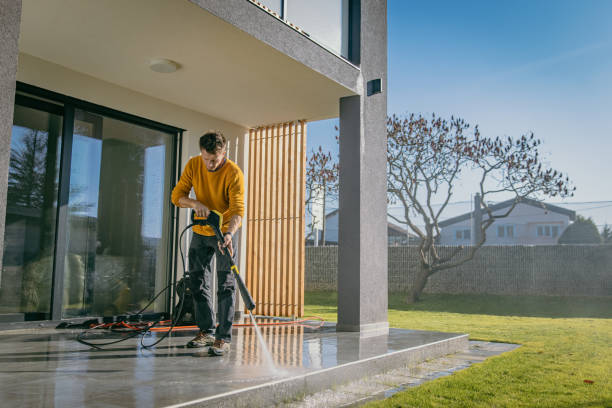 Best Driveway Pressure Washing  in Black Jack, MO