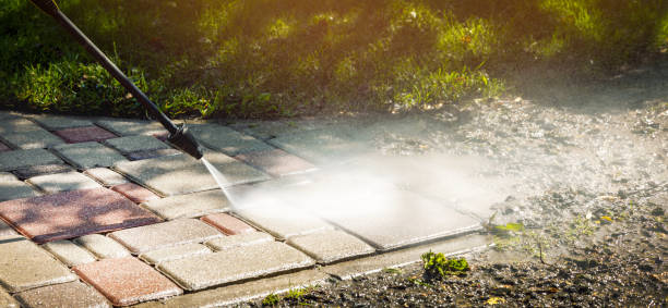 Best Dumpster Area Cleaning  in Black Jack, MO